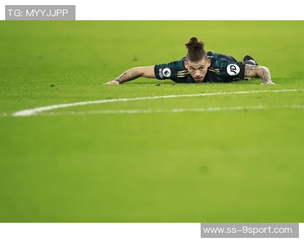 威尼斯人足球的魅力与激情探索足球文化的独特魅力与发展历程